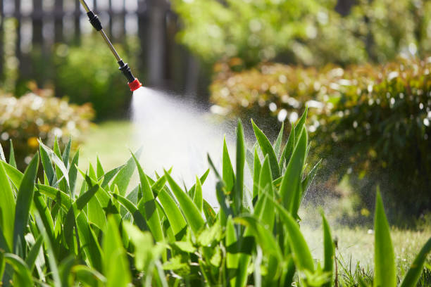 24/7 Emergency Mosquito Control experts in Barrington Hills, IL
