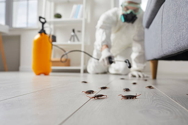 Trusted Cockroach Control service in Barrington Hills, IL - Nex Pest Control